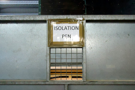 IsolationPen.jpg